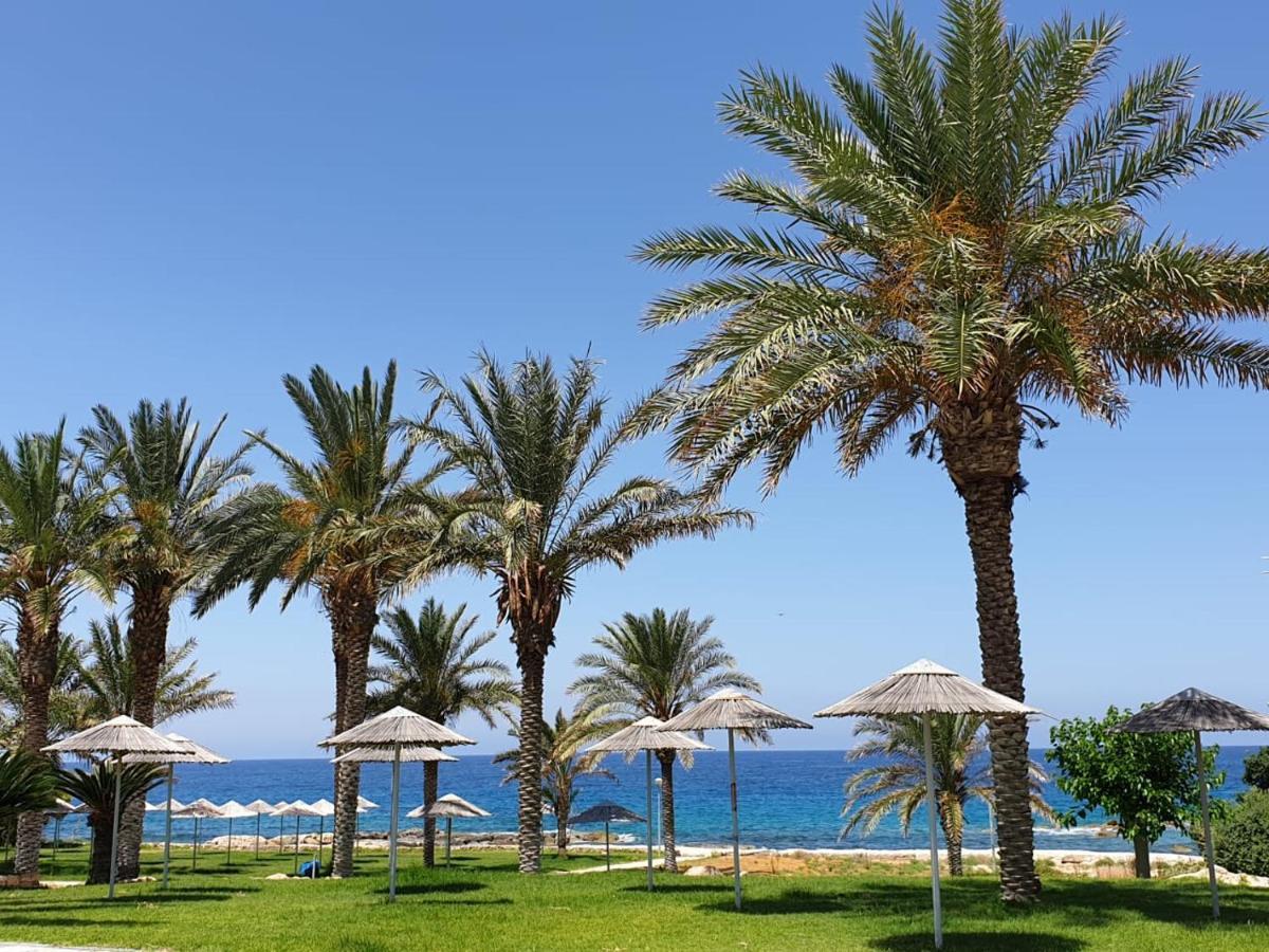 Seaview Sunset Holiday Apartments Paphos Esterno foto